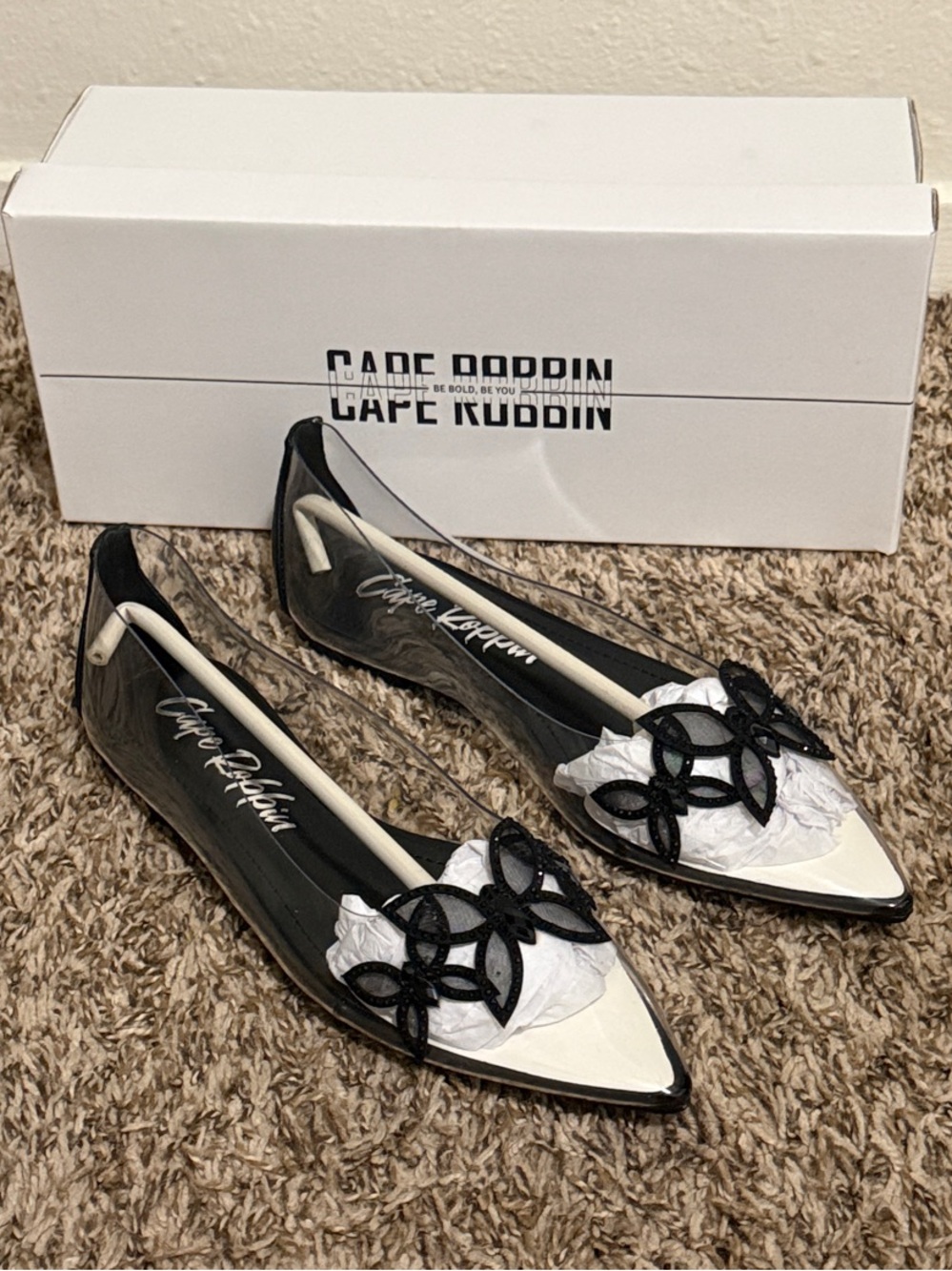 Cape Robbin Black Clear Pointed-Toe Flats with Floral Applique